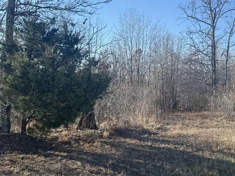 000 Highway U, Cabool, MO 65689 photo 5