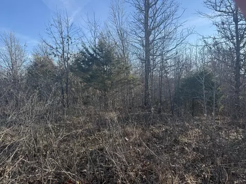 000 Highway U, Cabool, MO 65689 photo 3