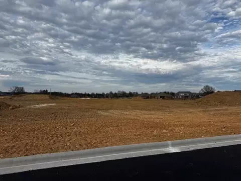 lot28 The Village Of Cloverhill, Nixa, MO 65714 photo 4