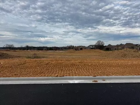 lot28 The Village Of Cloverhill, Nixa, MO 65714 photo 5
