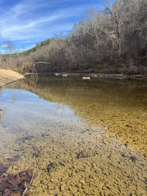 000 County Road 169, Brixey, MO 65618