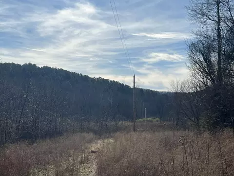 000 County Road 169, Brixey, MO 65618 photo 6