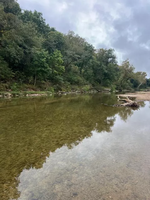 000 County Road 169, Brixey, MO 65618 photo 6