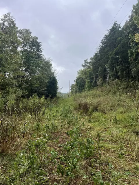 000 County Road 169, Brixey, MO 65618 photo 14