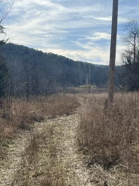 000 County Road 169, Brixey, MO 65618 photo 5