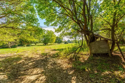 2113 Greene Rd, Sparta, MO 65753 photo 56