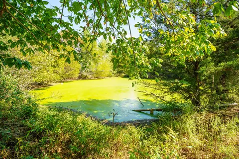 2113 Greene Rd, Sparta, MO 65753 photo 53