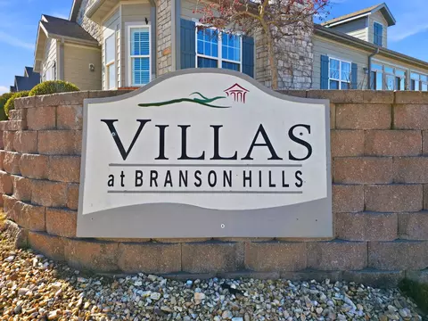 210 Rue De Villas Cir, Branson, MO 65616 photo 44