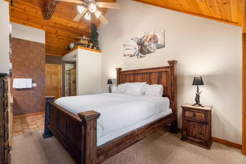 Bedroom - 238 Oakridge Rd, Branson, MO 65616 photo 5 of 7