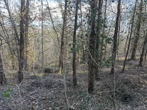 000 St Cloud Dr, Cape Fair, MO 65624 photo 5