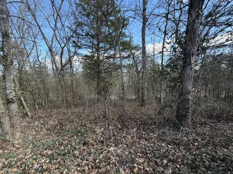 000 St Cloud Dr, Cape Fair, MO 65624 photo 10
