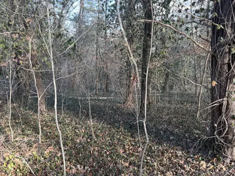 000 St Cloud Dr, Cape Fair, MO 65624 photo 9