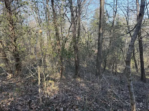 000 St Cloud Dr, Cape Fair, MO 65624 photo 6