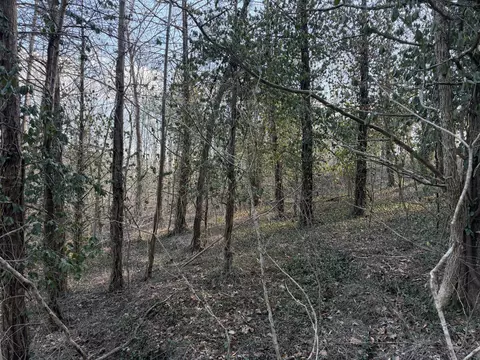 000 St Cloud Dr, Cape Fair, MO 65624 photo 2