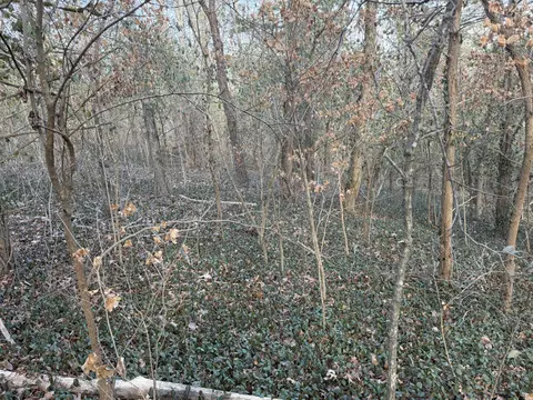 000 St Cloud Dr, Cape Fair, MO 65624 photo 8