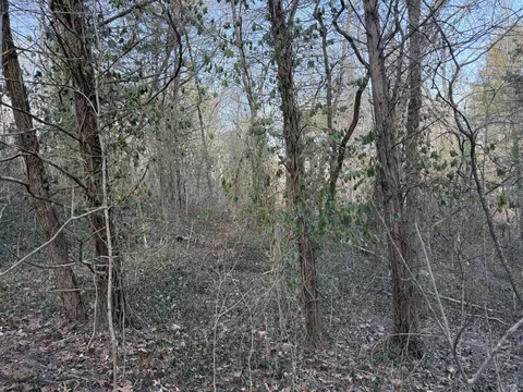 000 St Cloud Dr, Cape Fair, MO 65624 photo 7