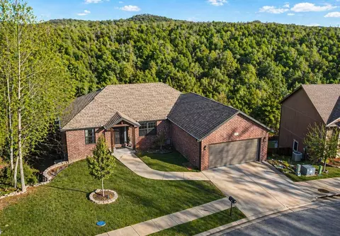 View/Area - 101 Jury Ln, Branson, MO 65616 photo 3 of 3