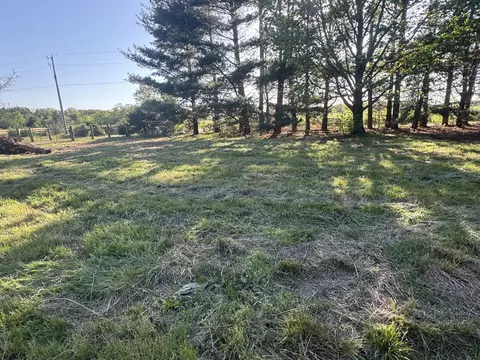 Exterior - 18674 Farm Road 1045, Exeter, MO 65647 photo 7 of 10