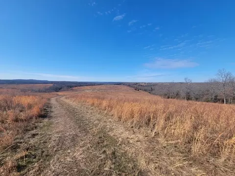 000 State Highway 5 S, Gainesville, MO 65655 photo 3