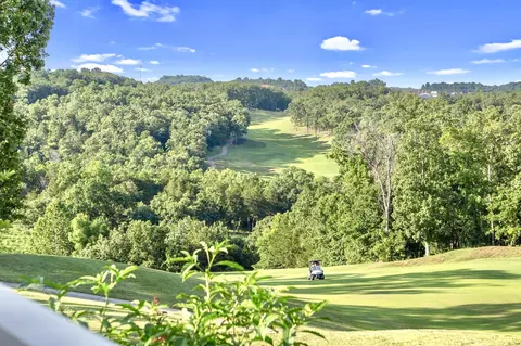 140 Pinehurst Dr, Branson, MO 65616