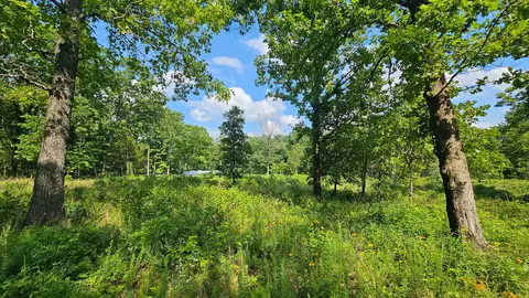 65 Gunslinger Dr, Brixey, MO 65618 photo 8