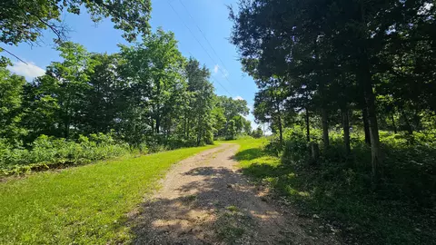 65 Gunslinger Dr, Brixey, MO 65618 photo 2