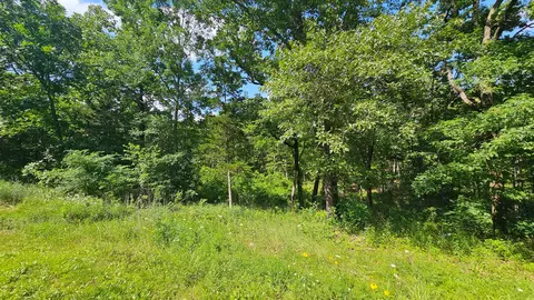 65 Gunslinger Dr, Brixey, MO 65618 photo 15