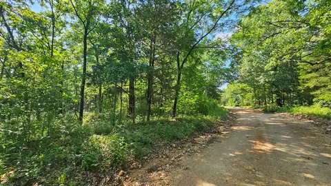 65 Gunslinger Dr, Brixey, MO 65618 photo 27