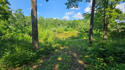 65 Gunslinger Dr, Brixey, MO 65618 photo 10