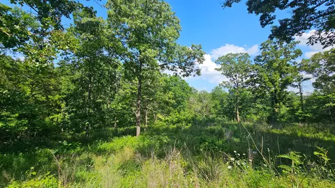 65 Gunslinger Dr, Brixey, MO 65618 photo 17