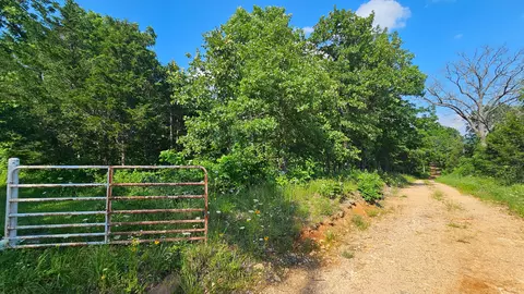 65 Gunslinger Dr, Brixey, MO 65618 photo 23