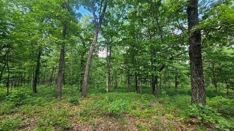 65 Gunslinger Dr, Brixey, MO 65618 photo 20