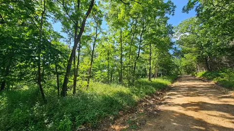 65 Gunslinger Dr, Brixey, MO 65618 photo 24