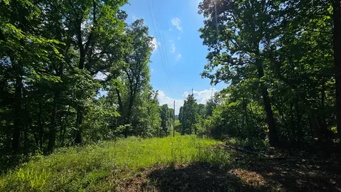 65 Gunslinger Dr, Brixey, MO 65618 photo 26