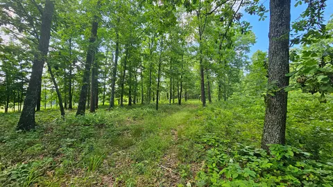 65 Gunslinger Dr, Brixey, MO 65618 photo 9