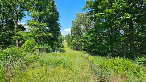 65 Gunslinger Dr, Brixey, MO 65618 photo 18