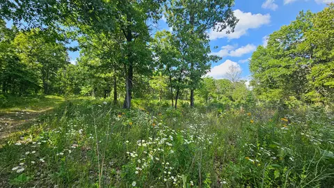 65 Gunslinger Dr, Brixey, MO 65618 photo 4