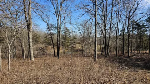 65 Gunslinger Dr, Brixey, MO 65618