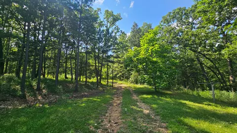 65 Gunslinger Dr, Brixey, MO 65618 photo 16