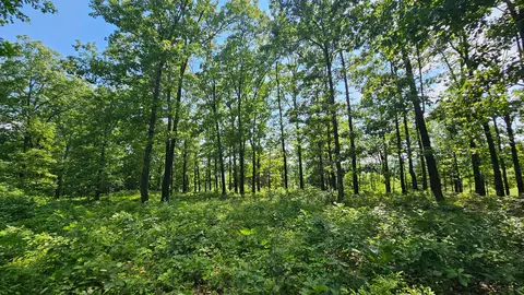 65 Gunslinger Dr, Brixey, MO 65618 photo 21
