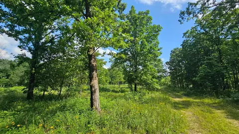 65 Gunslinger Dr, Brixey, MO 65618 photo 7