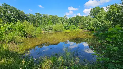 65 Gunslinger Dr, Brixey, MO 65618 photo 1