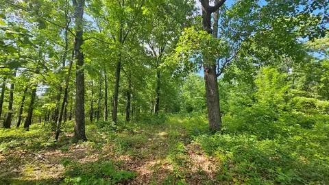 65 Gunslinger Dr, Brixey, MO 65618 photo 3
