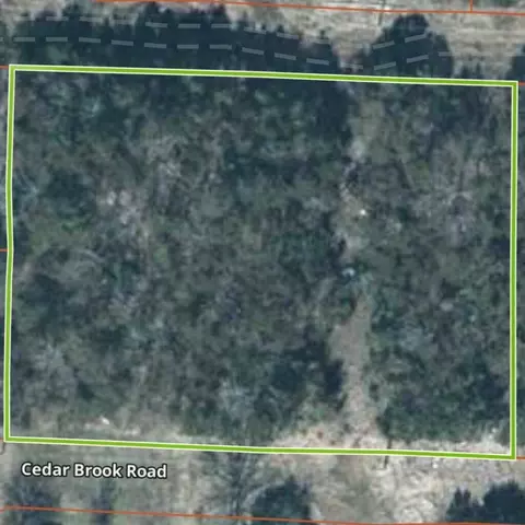 000 Cedar Brook Rd, Protem, MO 65733 photo 2