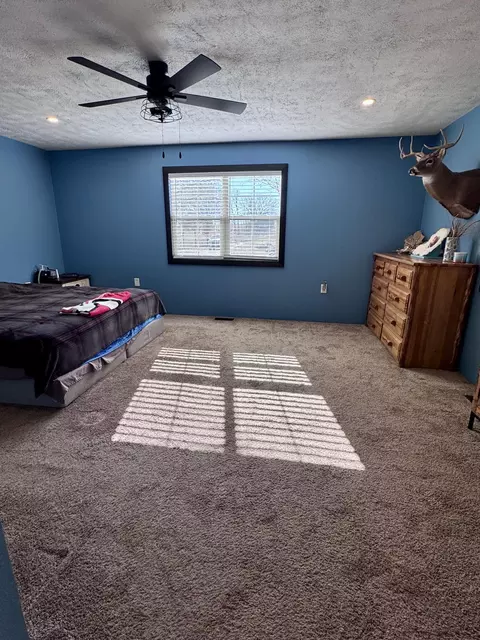 Bedroom - 359 County Road 262, Myrtle, MO 65778 photo 1 of 3
