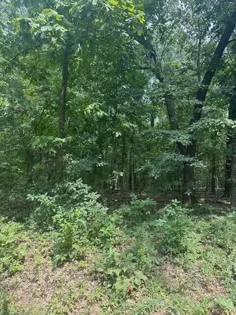 000 Private Road Cc-200, Alton, MO 65606
