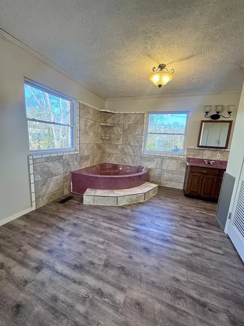 Bath - 7358 West St, Birch Tree, MO 65438 photo 3 of 4