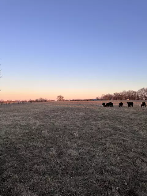 000 Civil War Rd, Carthage, MO 64836