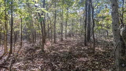 000 Cheetowaga Cir, Cherokee Village, AR 72529