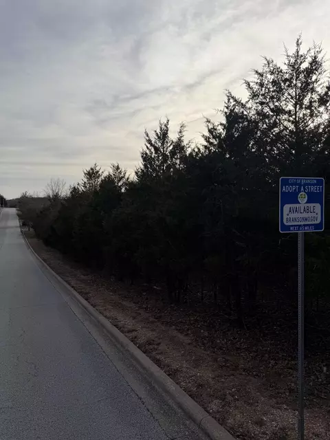 000 Arlene, Branson, MO 65616